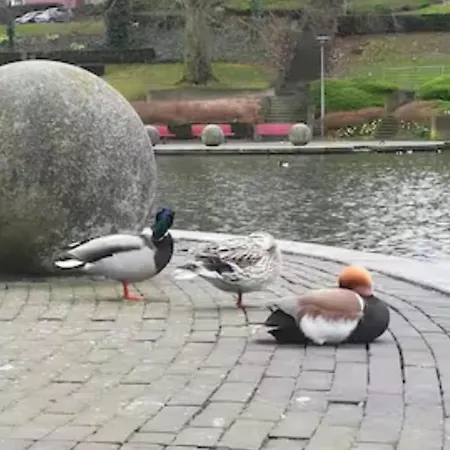 Mariadal Villa Mellet